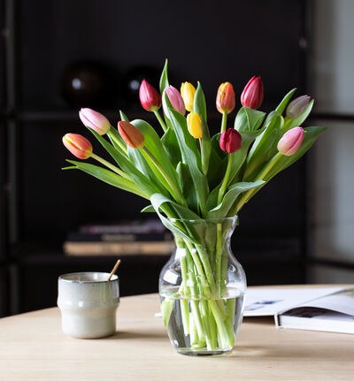 Tulipaner 12 pk. blanda farger